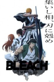 Bleach: Thousand-Year Blood War – The Conflict