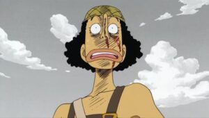 One Piece:  Episodio 33