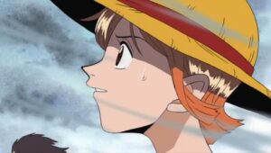 One Piece:  Episodio 43