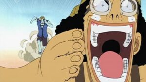 One Piece:  Episodio 40